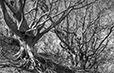 Against the Elements 7